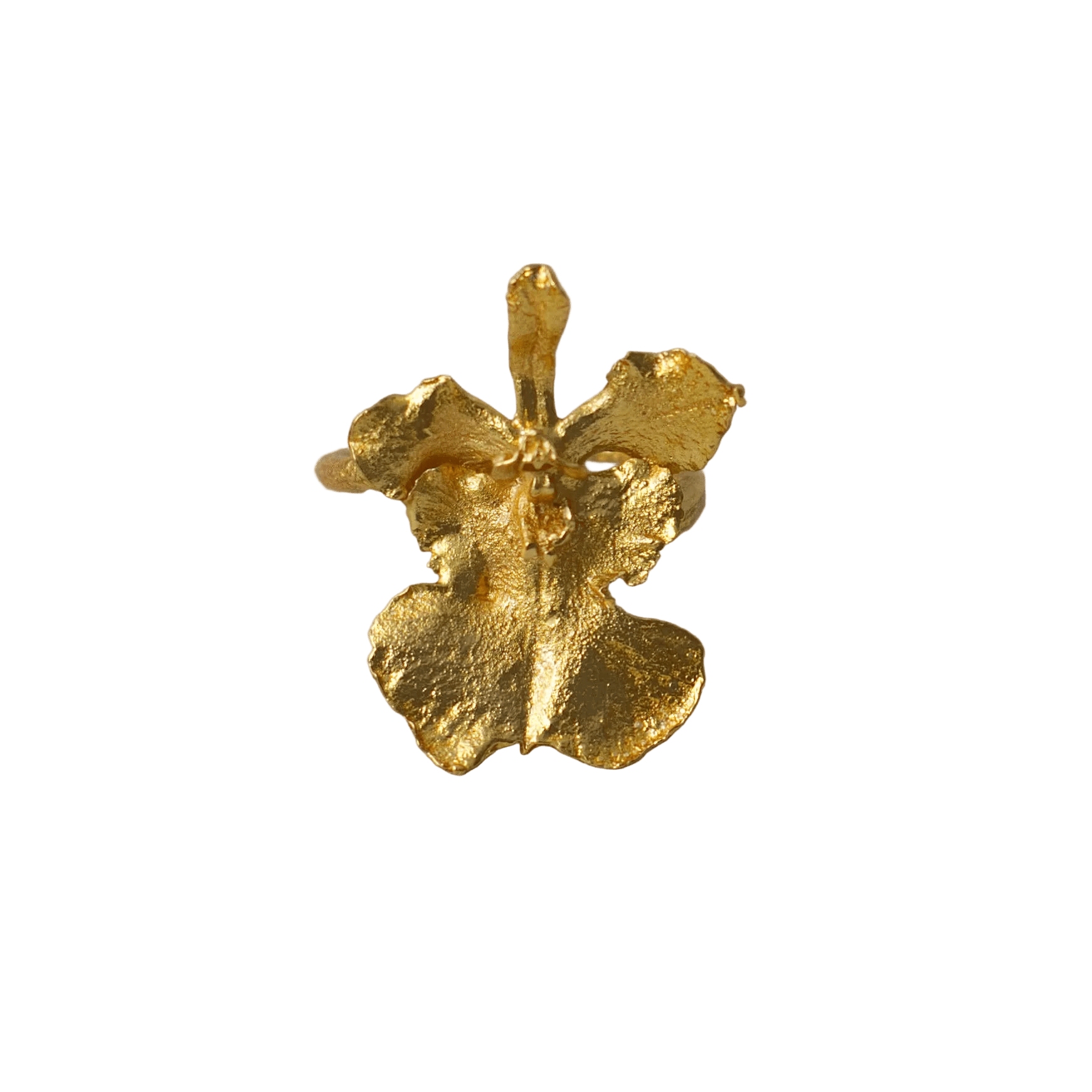 Anillo OrquIdea Tolumnia - Joyería Botánica | Liz de la Cruz