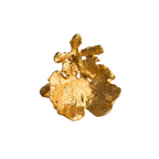 Dancing Lady Orchid Ring