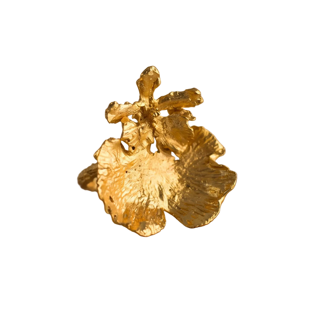 Anillo Orquidea Dama Danzante
