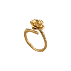 Anillo Ramita Anturio Flor Suculenta