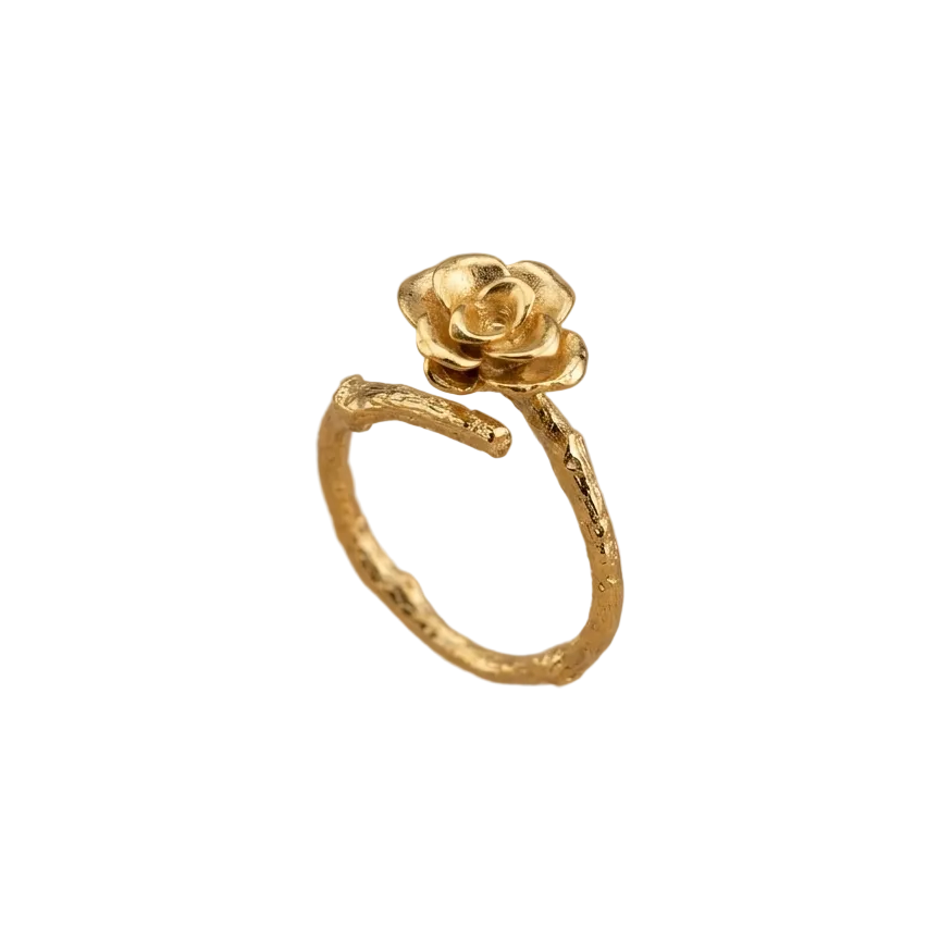 Anillo Ramita Anturio Flor Suculenta