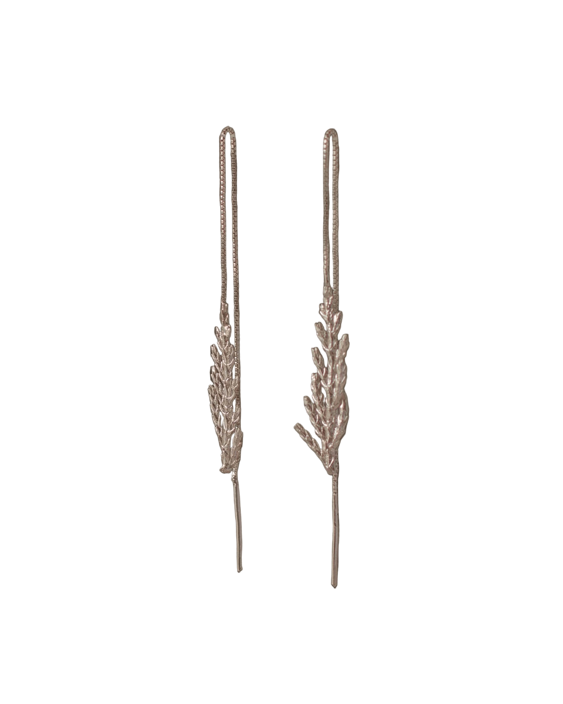 Aretes Cadena Hoja Plata - Joyería Botánica | Liz de la Cruz