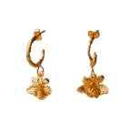 Aretes Candonga Orquidea Maxilaria - Joyería Botánica | Liz de la Cruz
