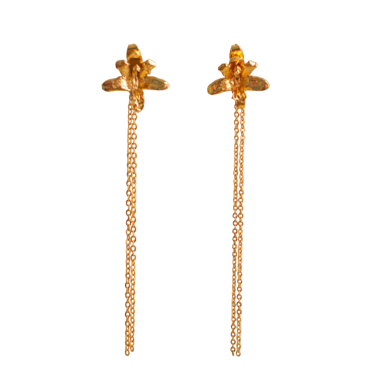 Aretes largos Orquidea Maxilaria Cadena - Joyería Botánica | Liz de la Cruz