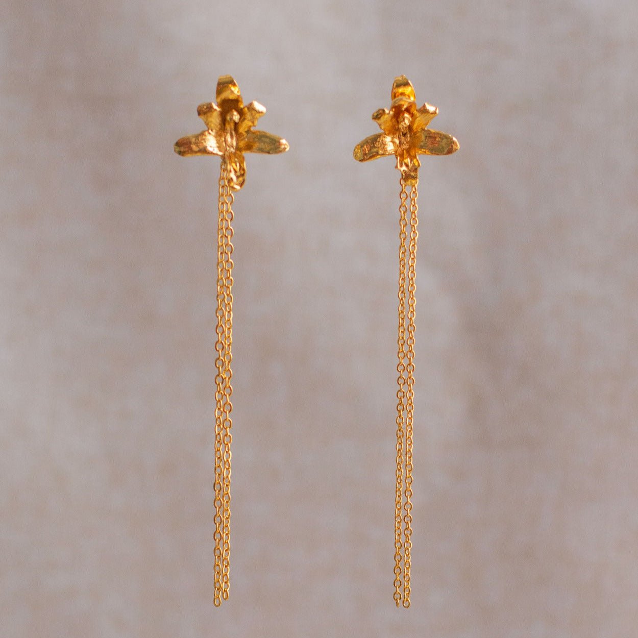 Aretes largos Orquidea Maxilaria Cadena - Joyería Botánica | Liz de la Cruz