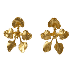 Aretes Orquidea Cyrtochilum Halteratum - Joyería Botánica | Liz de la Cruz
