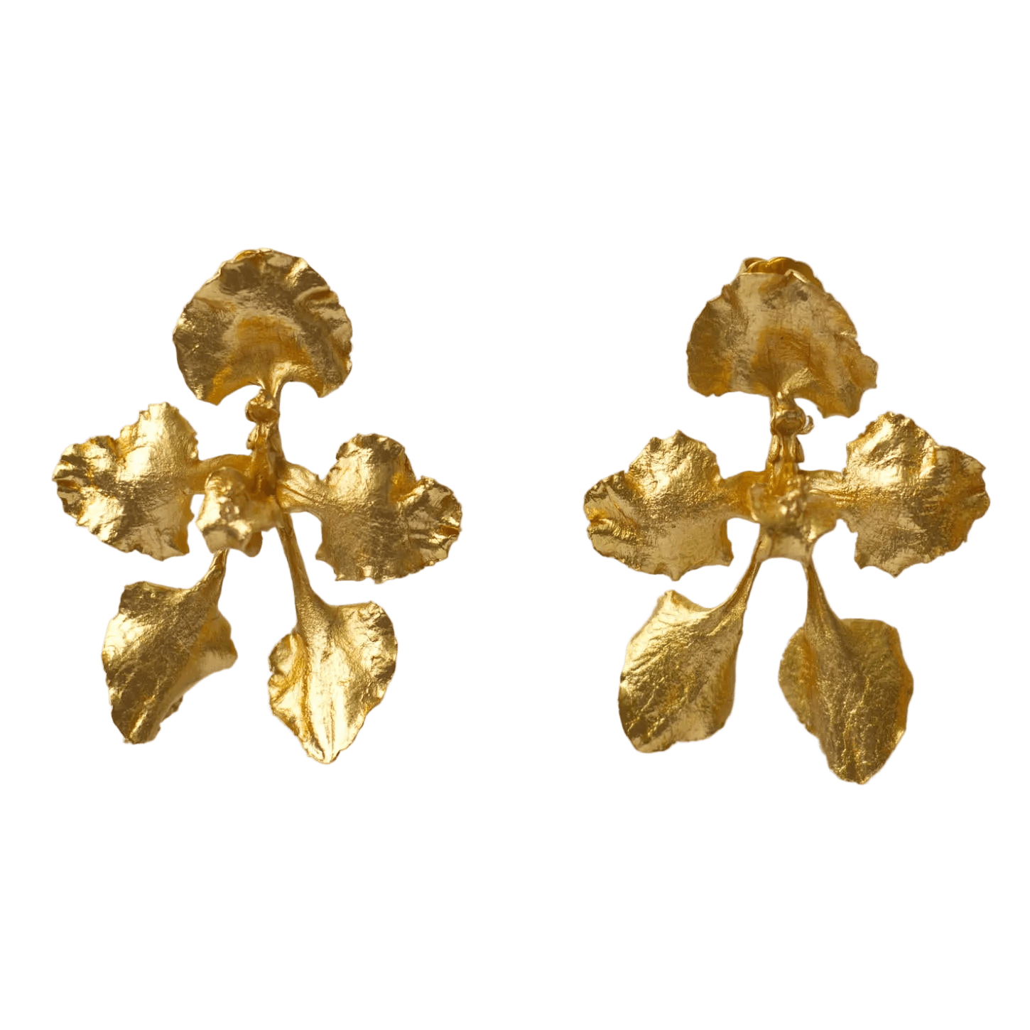 Aretes Orquidea Cyrtochilum Halteratum - Joyería Botánica | Liz de la Cruz