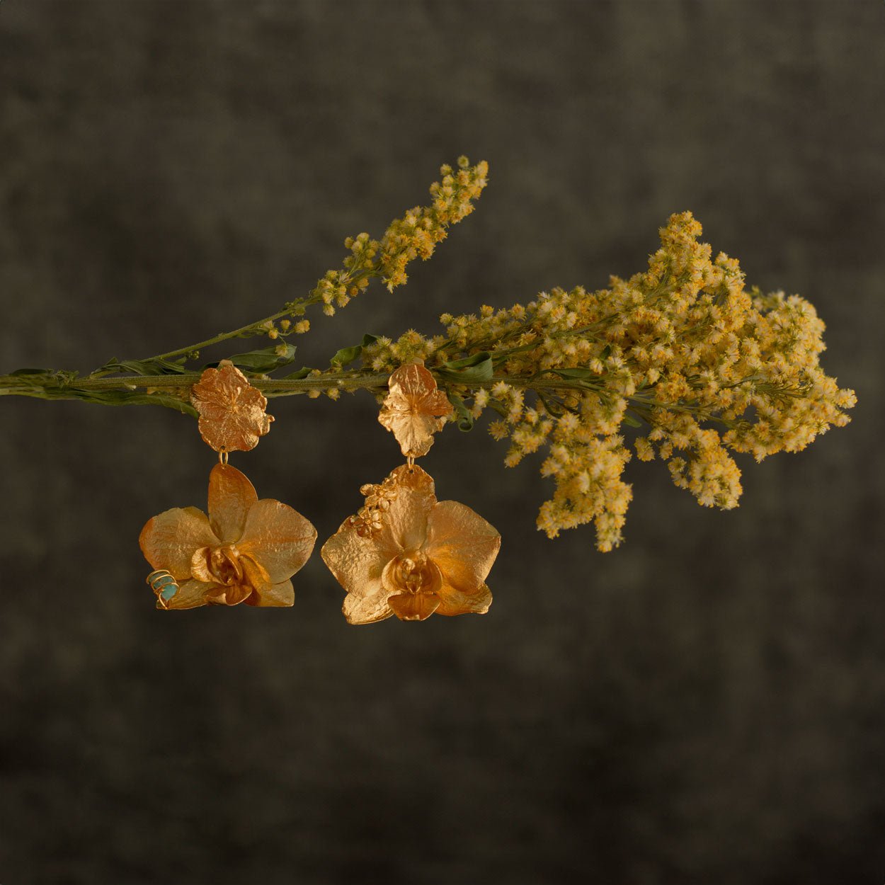 Aretes Orquidea Phalaenopsis & Hortensia - Joyería Botánica | Liz de la Cruz