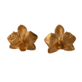 Aretes Orquidea Phalaenopsis Saucos - Joyería Botánica | Liz de la Cruz