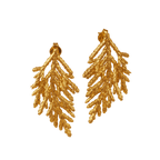 Aretes Topo Hoja Pino - Joyería Botánica | Liz de la Cruz