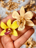 Aretes Topo Orquidea Dendrobium Esmeralda Sauco - Joyería Botánica | Liz de la Cruz