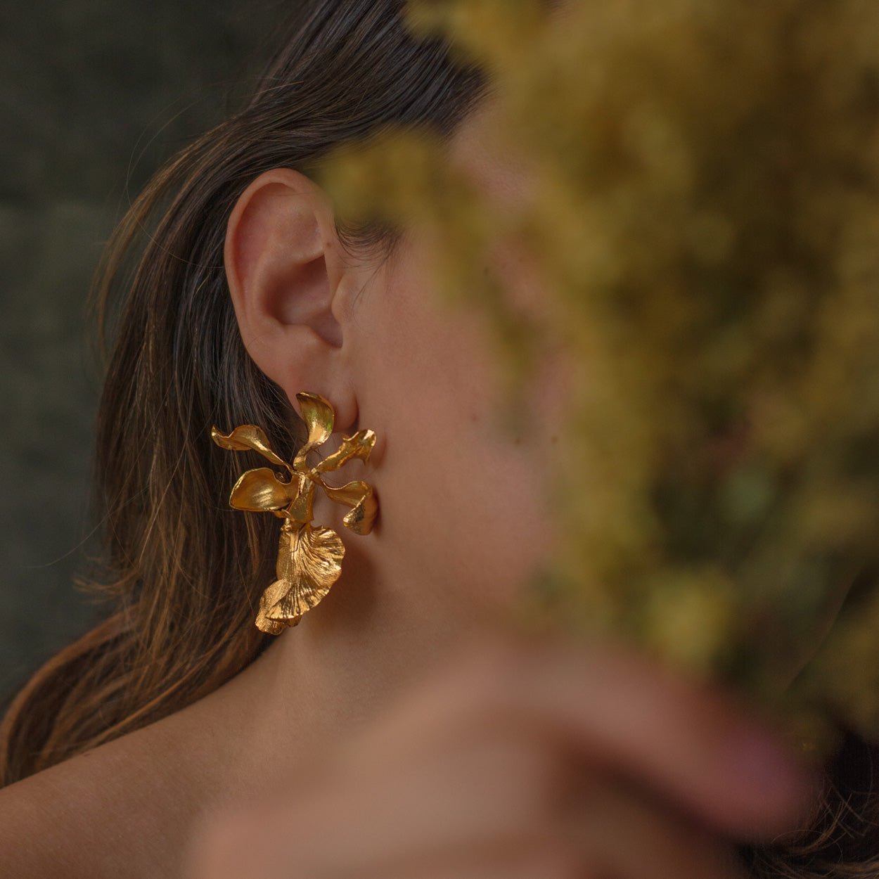 Aretes Topo Orquidea Encyclia Cordigera - Joyería Botánica | Liz de la Cruz