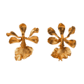 Aretes Topo Orquidea Encyclia Cordigera - Joyería Botánica | Liz de la Cruz