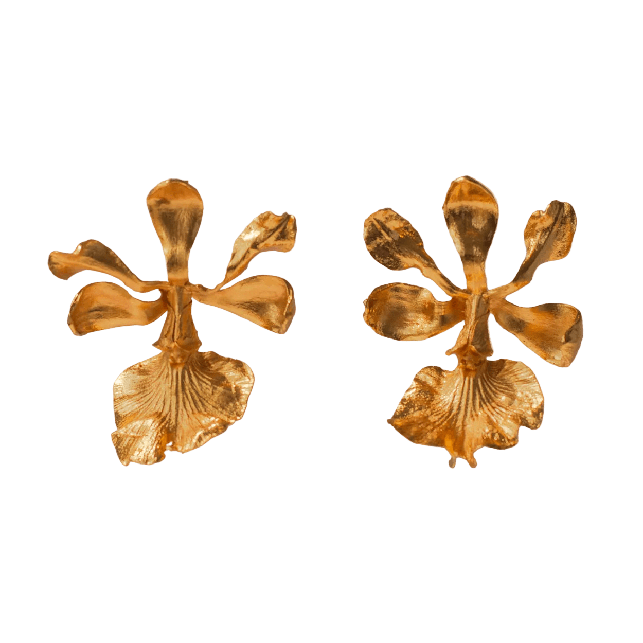 Aretes Topo Orquidea Encyclia Cordigera - Joyería Botánica | Liz de la Cruz