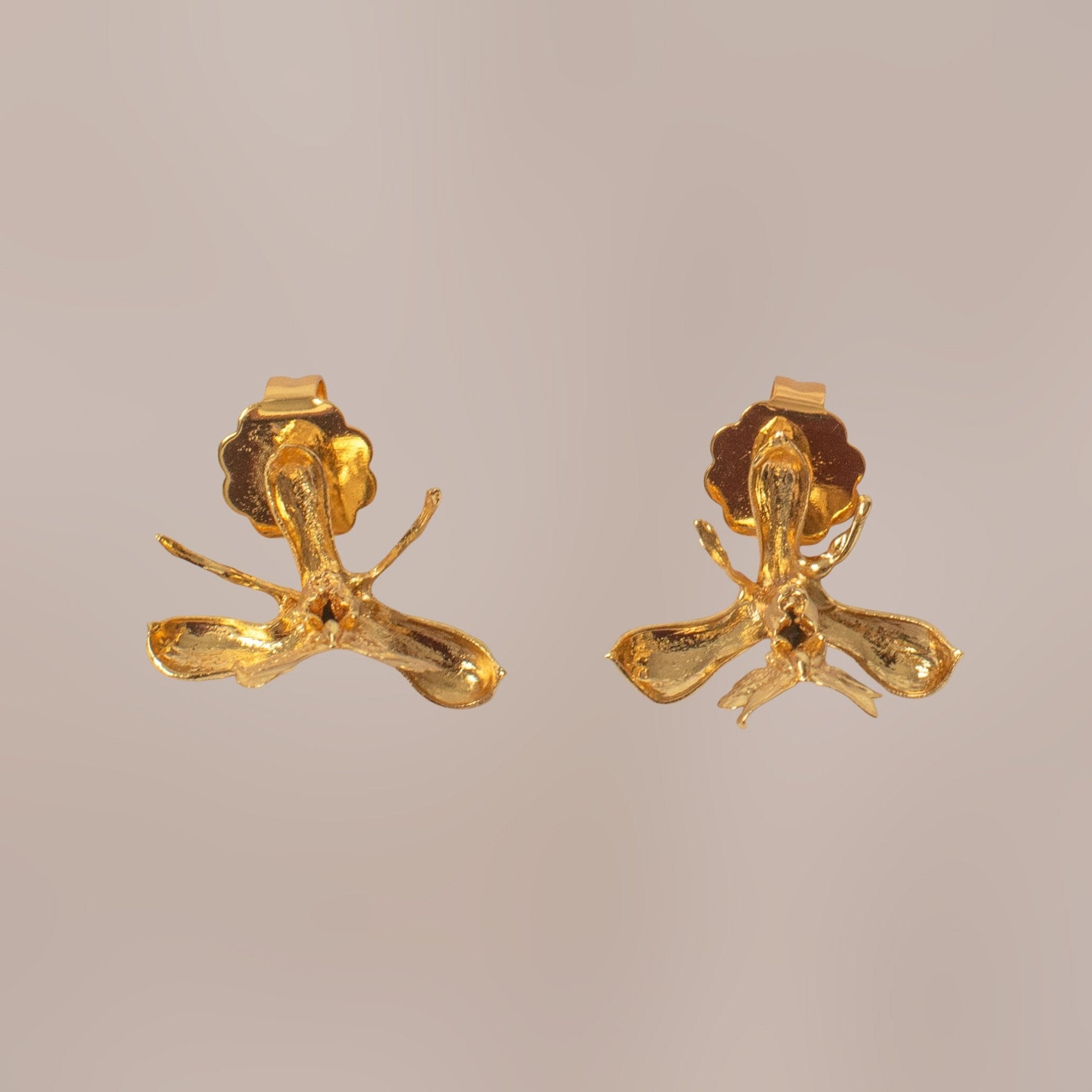 Aretes Topo Orquidea Epidendrum Capricornu - Joyería Botánica | Liz de la Cruz