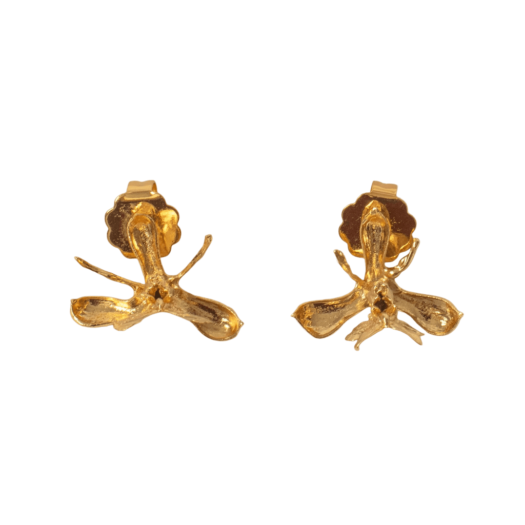 Aretes Topo Orquidea Epidendrum Capricornu - Joyería Botánica | Liz de la Cruz