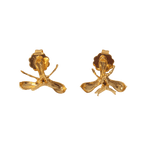 Aretes Topo Orquidea Epidendrum Capricornu - Joyería Botánica | Liz de la Cruz