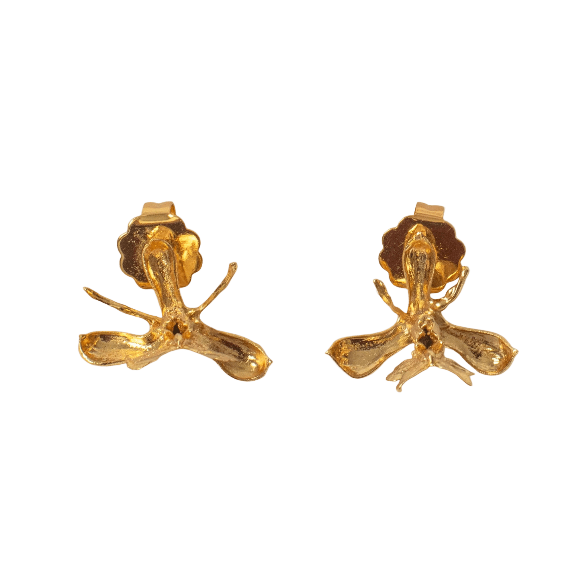 Aretes Topo Orquidea Epidendrum Capricornu - Joyería Botánica | Liz de la Cruz