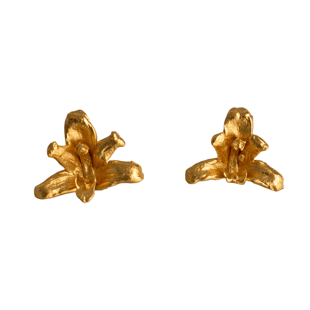 Aretes Topo Orquidea Maxilaria - Joyería Botánica | Liz de la Cruz