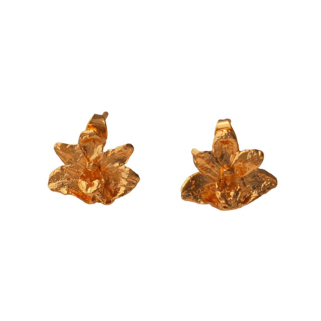 Aretes Topo Orquidea Maxilaria - Joyería Botánica | Liz de la Cruz