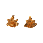 Aretes Topo Orquidea Maxilaria - Joyería Botánica | Liz de la Cruz