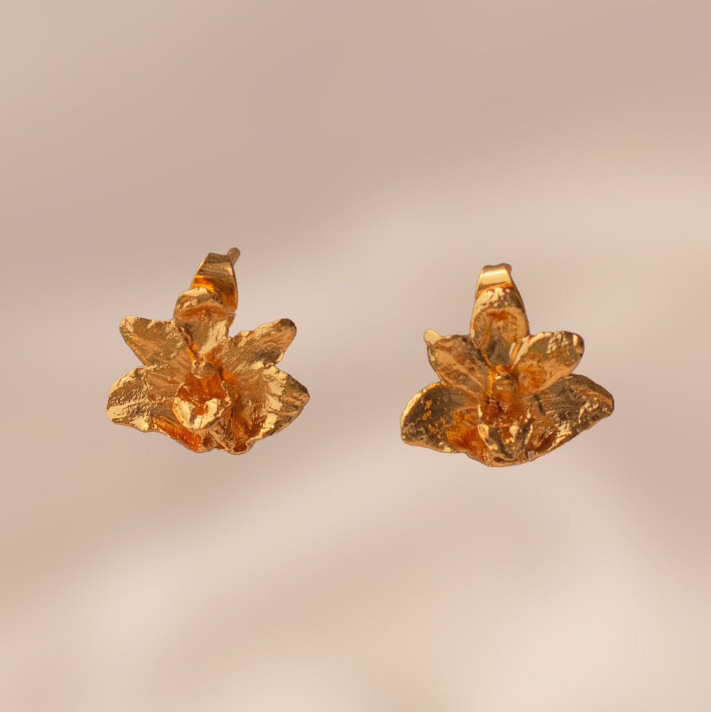 Aretes Topo Orquidea Maxilaria - Joyería Botánica | Liz de la Cruz