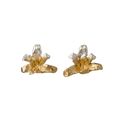 Aretes Topo Orquidea Maxilaria Plata Eco con Baño en Oro 24k - Joyería Botánica | Liz de la Cruz
