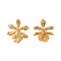 Aretes Topo Orquidea Odontoglossum Exótica - Joyería Botánica | Liz de la Cruz