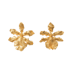 Aretes Topo Orquidea Odontoglossum Exótica - Joyería Botánica | Liz de la Cruz
