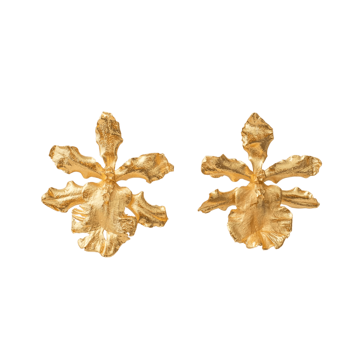 Aretes Topo Orquidea Odontoglossum Exótica - Joyería Botánica | Liz de la Cruz