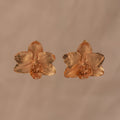 Aretes Topo Orquidea Phalaenopsis Baby - Joyería Botánica | Liz de la Cruz