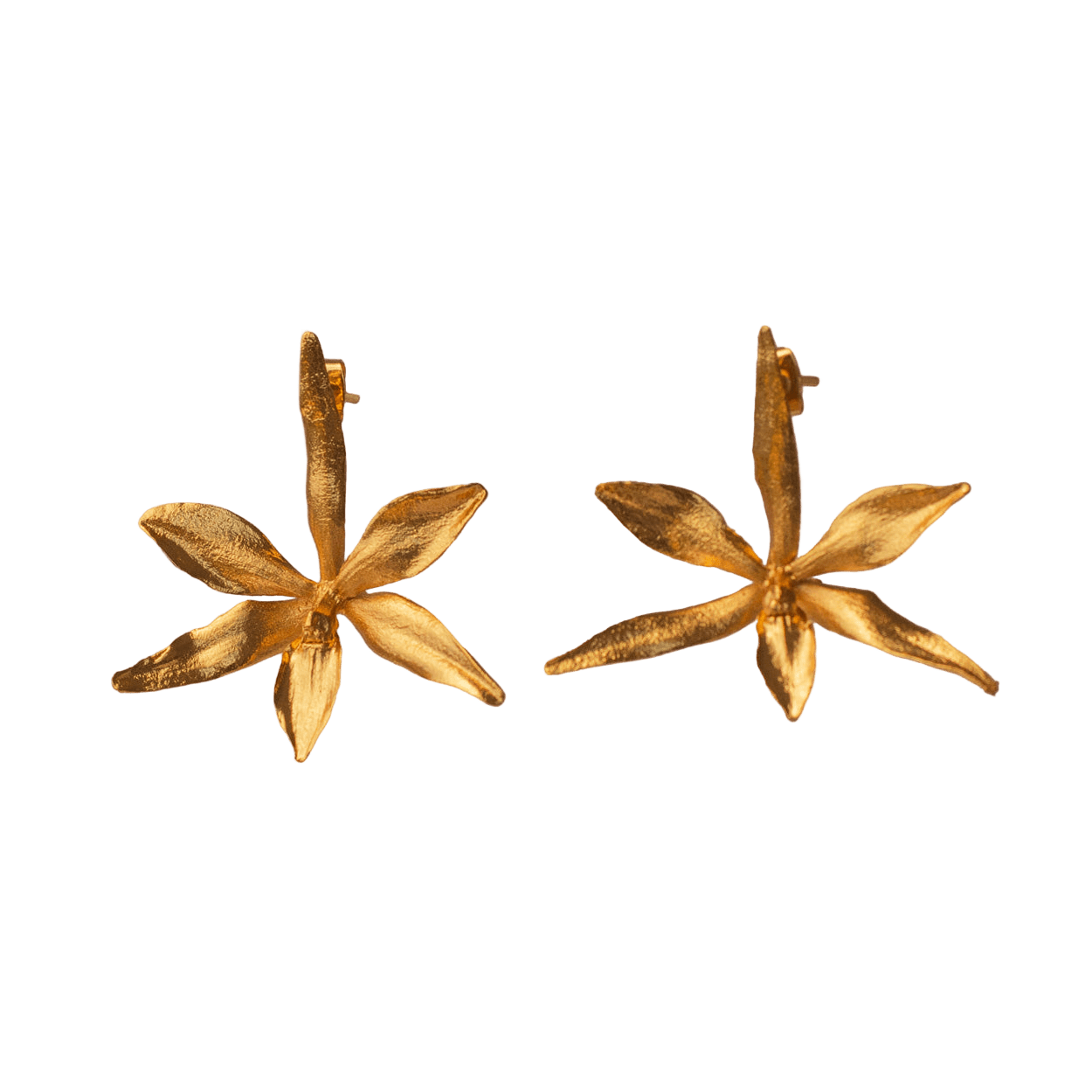 Aretes Topo Orquidea Prosthechea Fragans - Joyería Botánica | Liz de la Cruz