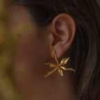 Aretes Topo Orquidea Prosthechea Fragans - Joyería Botánica | Liz de la Cruz