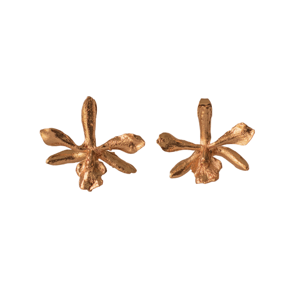 Aretes Topo Orquidea Prosthechea Sceptra - Joyería Botánica | Liz de la Cruz
