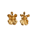 Aretes Topo Orquidea Tolumnia - Joyería Botánica | Liz de la Cruz