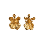 Aretes Topo Orquidea Tolumnia - Joyería Botánica | Liz de la Cruz