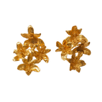 Aretes Multi Orquidea Maxilaria