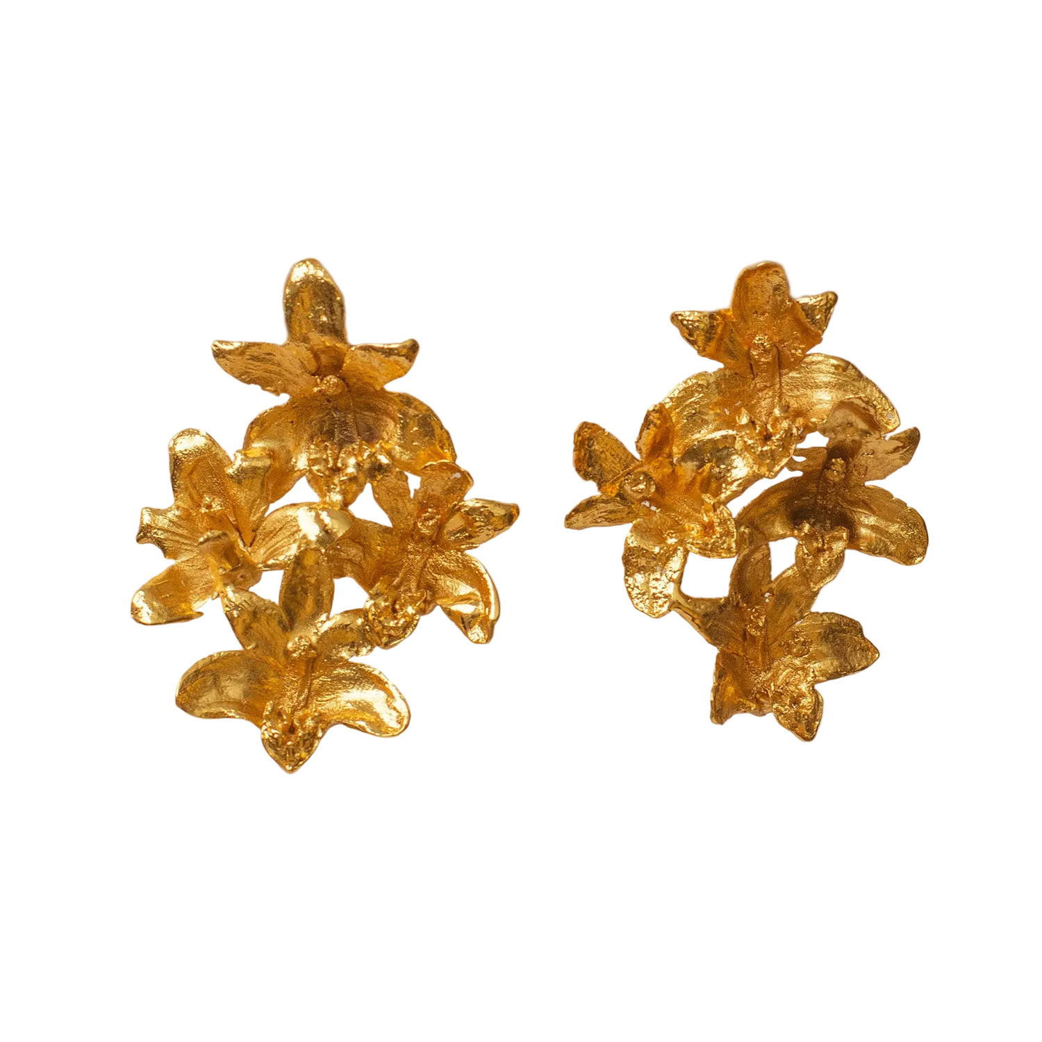 Aretes Multi Orquidea Maxilaria