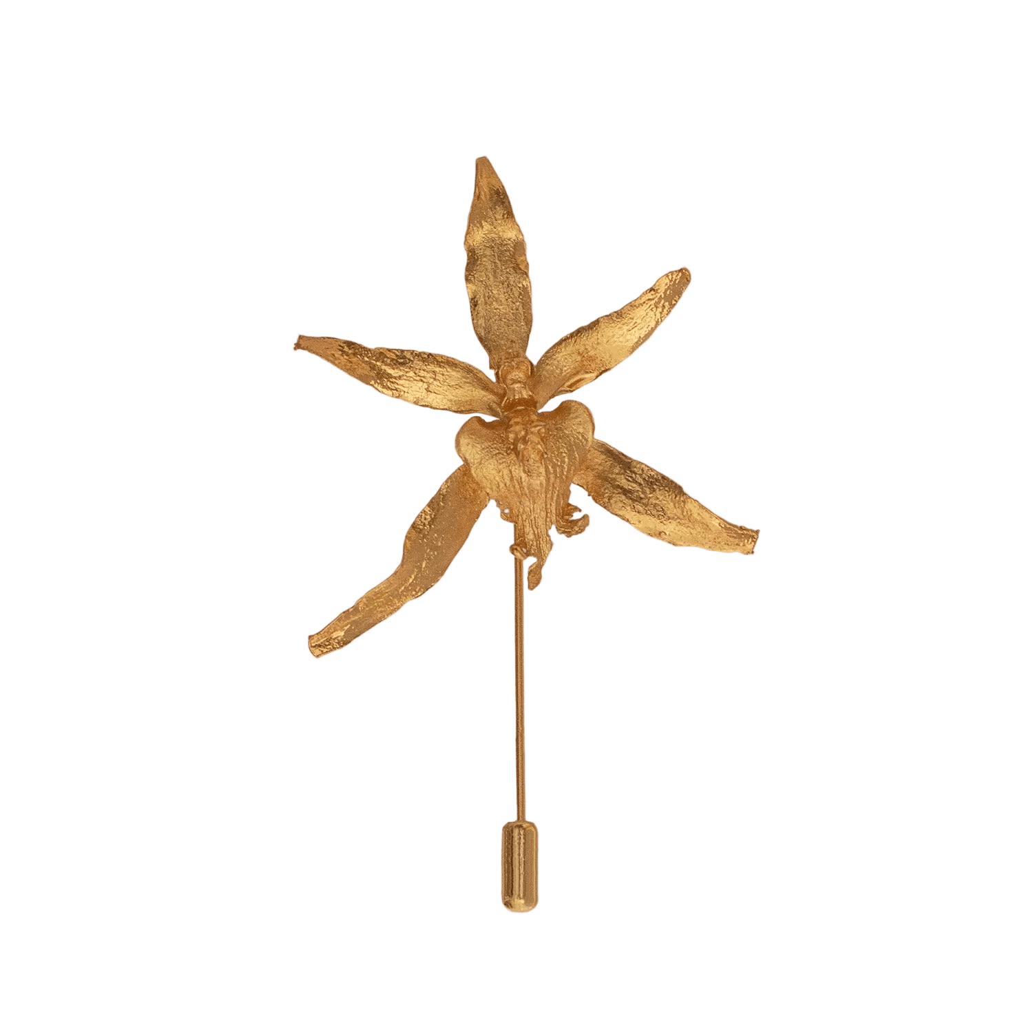 Broche Orquidea Brassia - Joyería Botánica | Liz de la Cruz