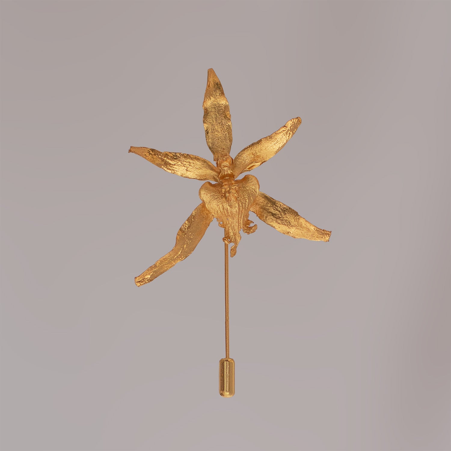 Broche Orquidea Brassia - Joyería Botánica | Liz de la Cruz
