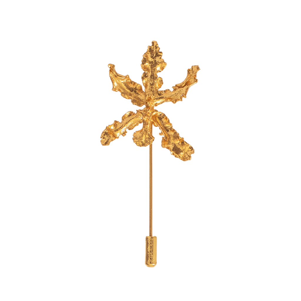 Broche Orquidea Cyrtochillum - Joyería Botánica | Liz de la Cruz