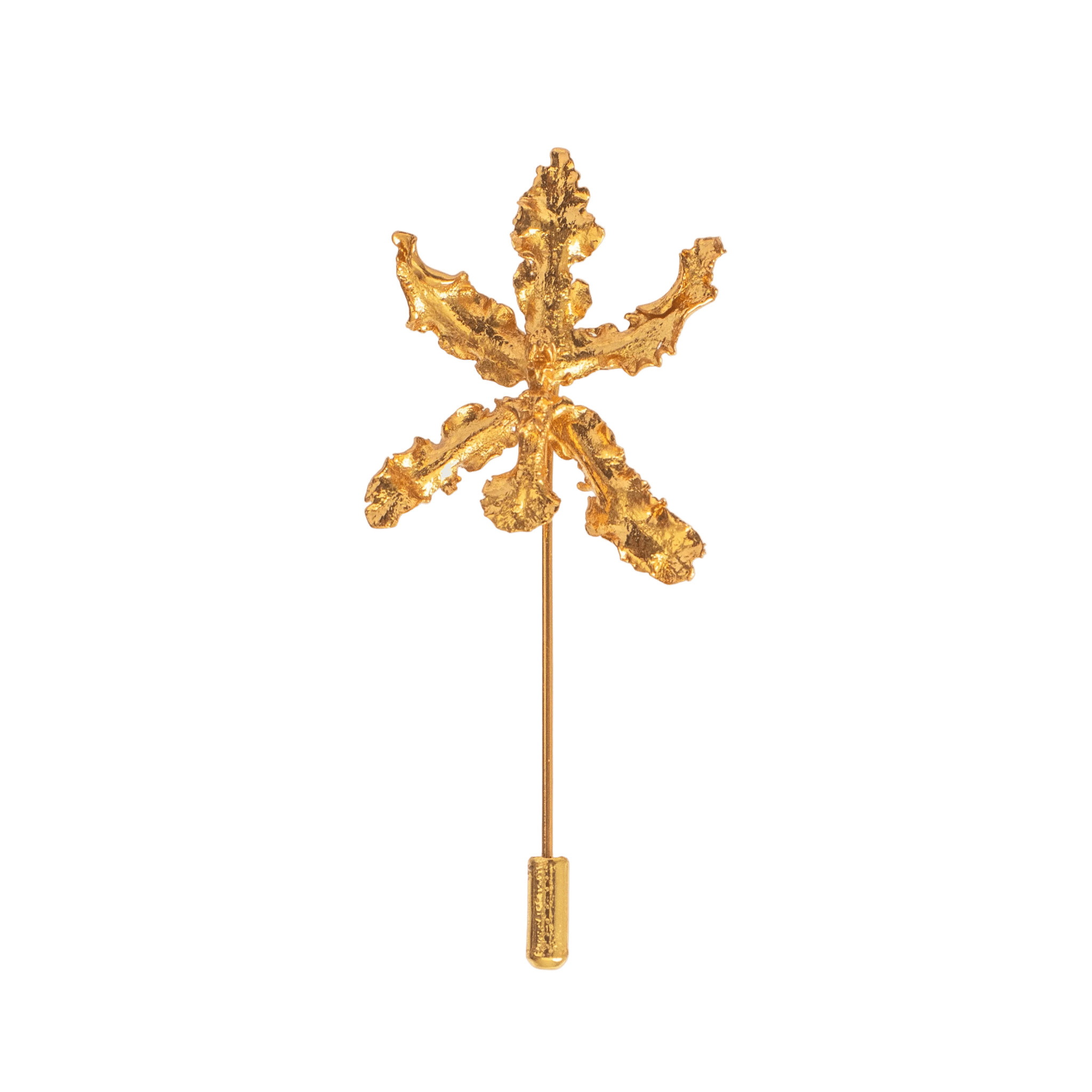Broche Orquidea Cyrtochillum - Joyería Botánica | Liz de la Cruz