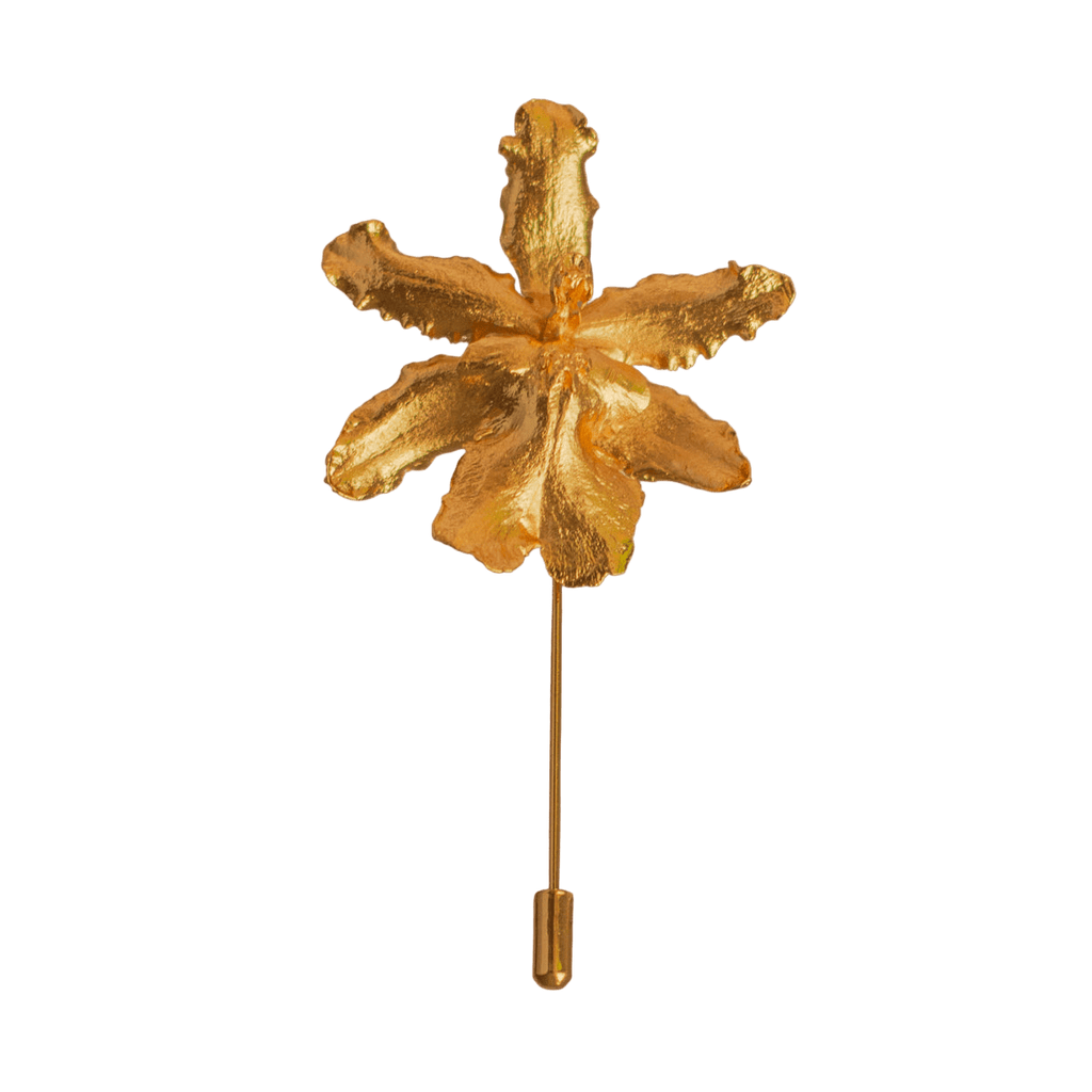 Broche Orquidea Odontoglossum - Joyería Botánica | Liz de la Cruz