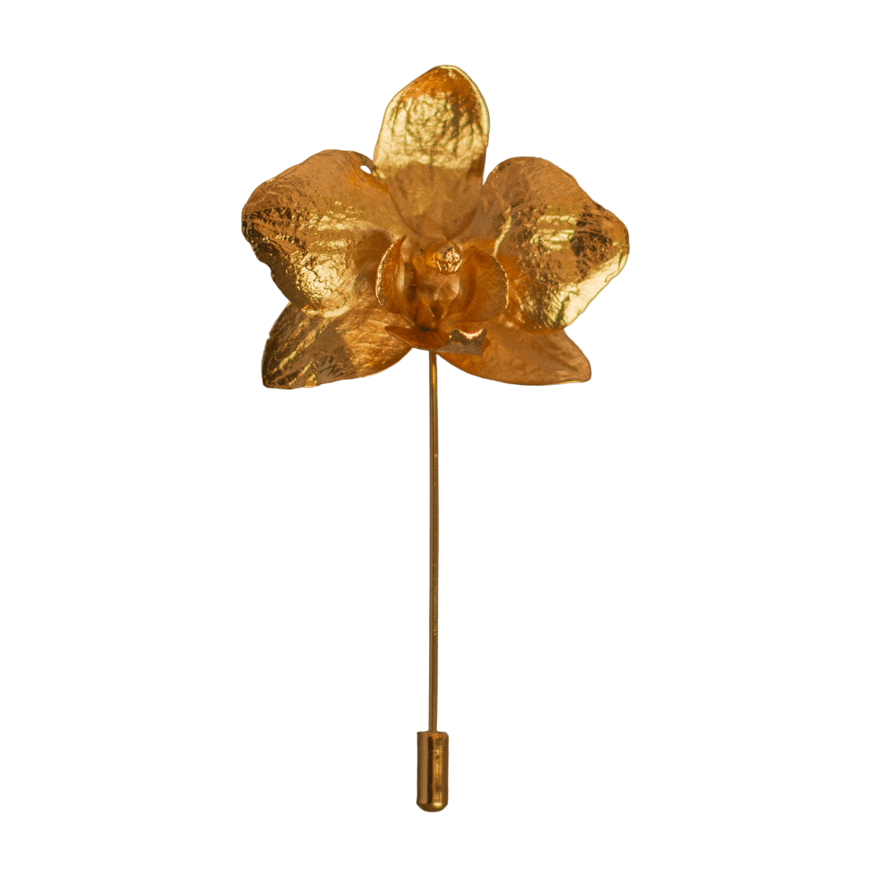 Broche Orquidea Phalaenopsis - Joyería Botánica | Liz de la Cruz
