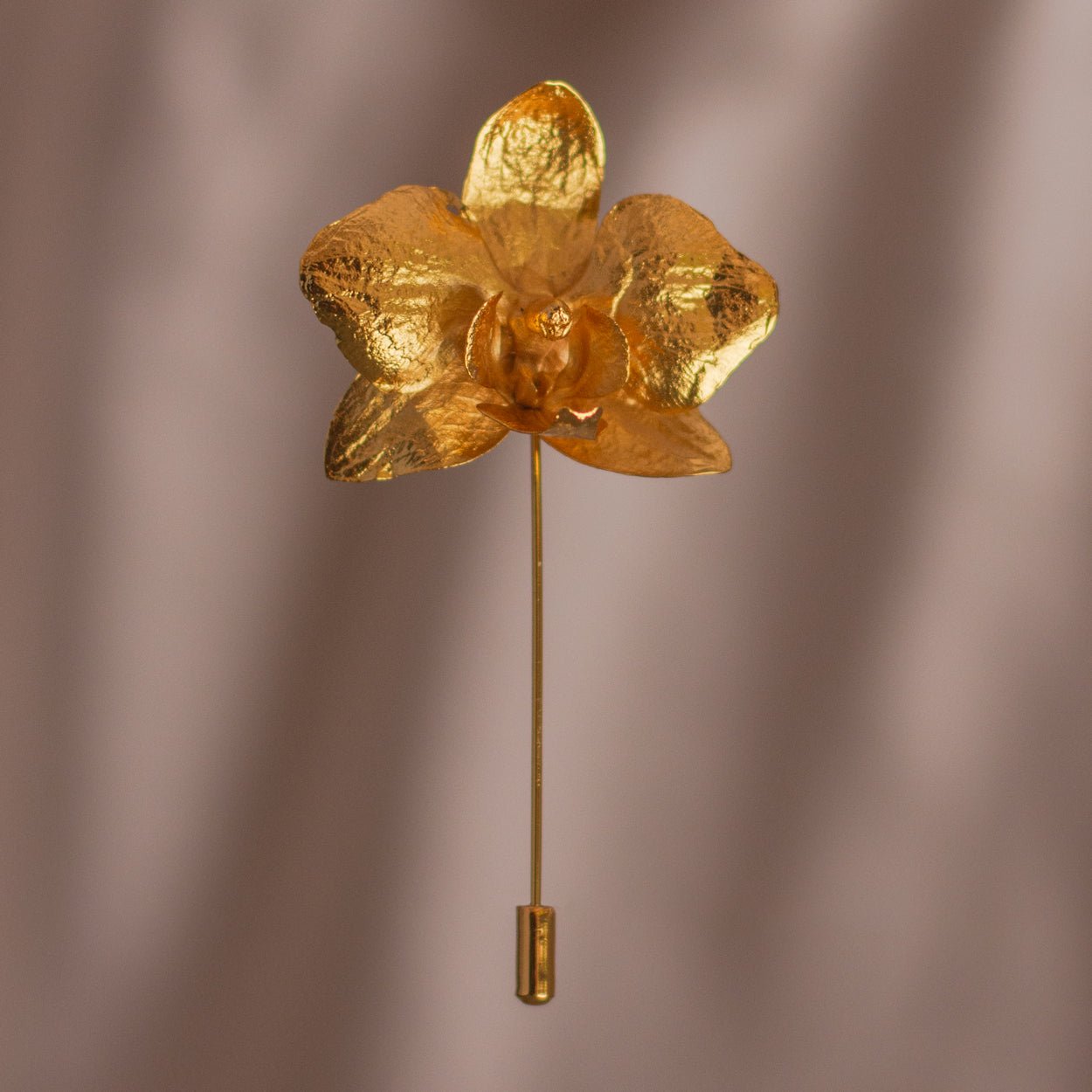 Broche Orquidea Phalaenopsis - Joyería Botánica | Liz de la Cruz
