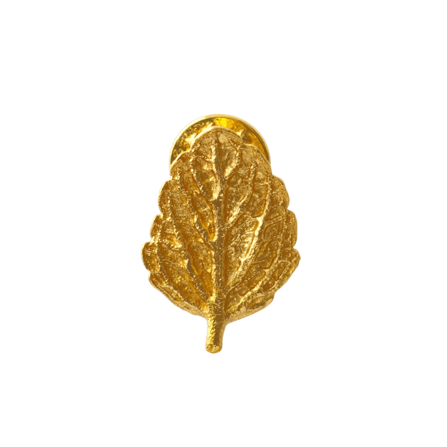 Broche Pin Hoja Toronjil - Joyería Botánica | Liz de la Cruz