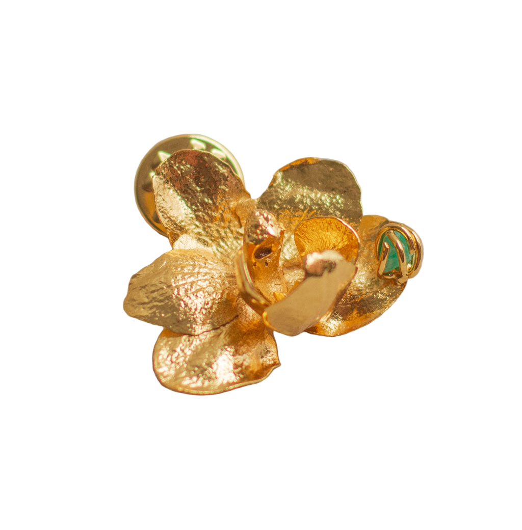 Broche Prendendor Orquidea Phalaenopsis Baby - Joyería Botánica | Liz de la Cruz