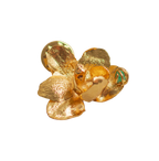 Broche Prendendor Orquidea Phalaenopsis Baby - Joyería Botánica | Liz de la Cruz