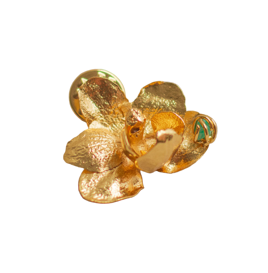 Broche Prendendor Orquidea Phalaenopsis Baby - Joyería Botánica | Liz de la Cruz