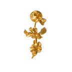 Broche Ramita Soleirolia - Joyería Botánica | Liz de la Cruz